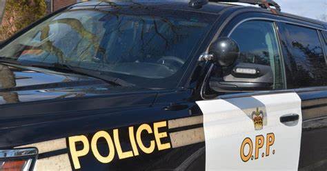 Hagersville, Ont. resident lost $400,000 in online cryptocurrency scam, police say - CBC.ca