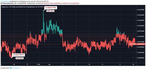 Bullish Outlook for Dogecoin & WIF; MOONHOP Partners with Coinsult - NFTevening.com