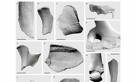 Neanderthals were rendering fat nearly 100k years before other early humans