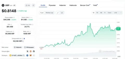 Diese Altcoins sind bei Walen aktuell besonders beliebt