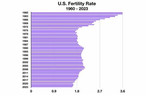 Record low US fertility rate reported in 2024