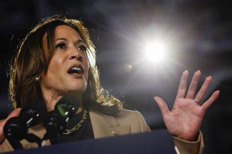 Harris targets Black men with new economic proposals - MSN