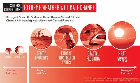 Scientists warn that 70% of the world's population will see 'strong and rapid' increases in wild weather events in the next 20 years