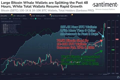 Bitcoin Whale Since Satoshi Era Identifies 3 Altcoins Under $1 That Will Reach $10 When BTC Hits $100,000 - Analytics Insight