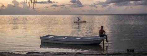 A Libertarian Island Dream in Honduras Is Now an $11 Billion Nightmare - Bloomberg