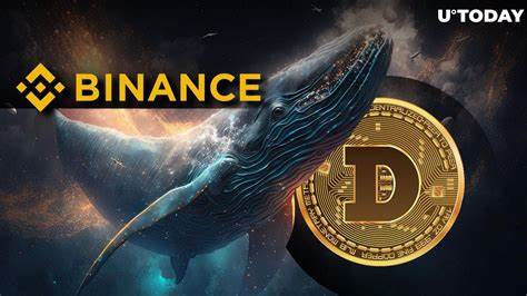 Dogecoin Whales Move Millions of DOGE From Crypto Exchanges, What Are They Buying? - Binance