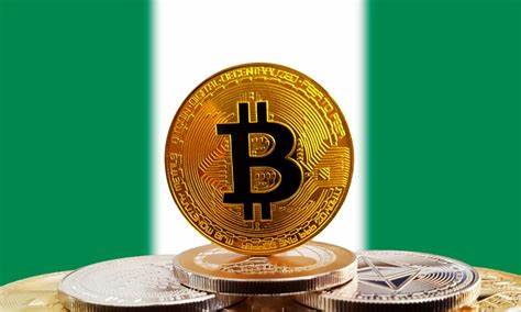 Nigerian Regulators Spurn Cryptocurrencies for Digital Assets That Protect Investors - PYMNTS.com
