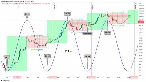 Bitcoin Trading Strategy: Mastering The Halving Cycles For Maximum Profit - TronWeekly