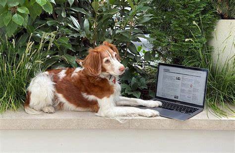 Explaining, at some length, Techmeme's 20 years of consistency