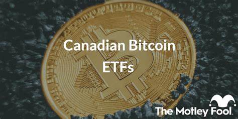 Top Canadian Bitcoin ETFs - The Motley Fool Canada