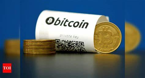 Meet the Indians who bet on the hottest virtual currency - The Times of India