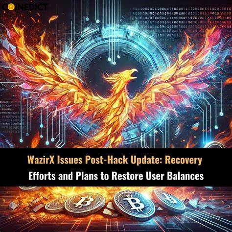 WazirX gains crucial extension to revive post-hack restructuring plan