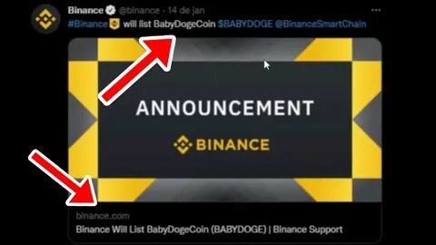 Binance zur Einführung der Community -Abstimmung für die Auflistung und Delisting -Token