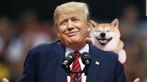 TRUMP-Token überholt Shiba Inu und Pepe – Was steckt dahinter?