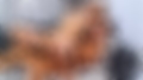 Die neuesten Porno-Videos & kostenlosen Sexfilme | xHamster