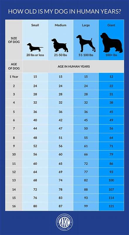 Dog Human Birthday Calculator