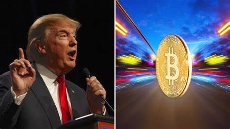 How Trump was 'orange-pilled' by three bitcoiners in Puerto Rico and the promise of $100 million