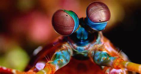 When Did Nature Burst into Vivid Color?