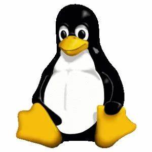 The Linux Kernel Seeing Rare Code Activity Around SPARC64