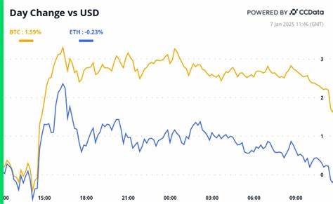 Crypto Daybook Americas: Carnage in BTC and Altcoins May be a Warning Sign for Equities - CoinDesk