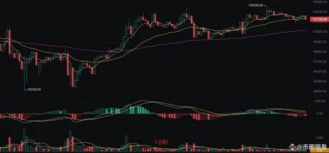 币圈丽盈(@biquanliying)'s insights - Binance