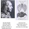 Marcello Malpighi (1628–1694) – Circulation Research
