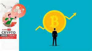 Cryptocurrency Price Today (May 23): Bitcoin Sets ANOTHER All-Time High, Soars Past $111,000 - ABP LIVE