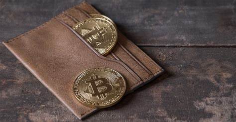 $190 Million in Crypto Gone Forever, How Canada’s Biggest Bitcoin Exchange Lost it All - CCN.com