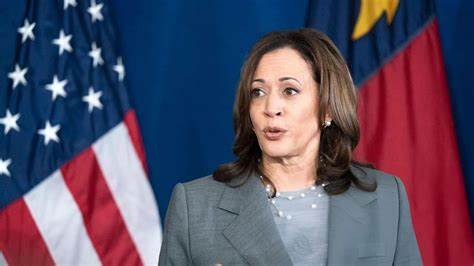 Ripple CEO Donates $1M to Kamala Harris - Crypto News BTC