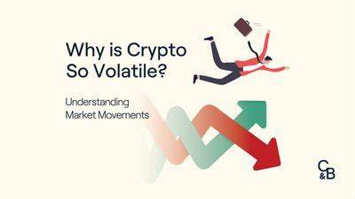 Lack of Physical Form, Market Sentiments, More: Here’s Why Crypto Is So Volatile - ABP Live