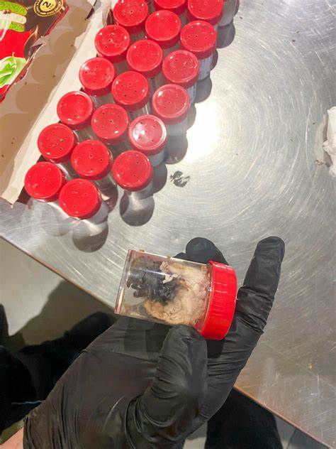About 1,500 tarantulas found hidden in cake boxes at German airport