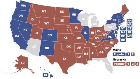 A Glossary for the US Presidential Election