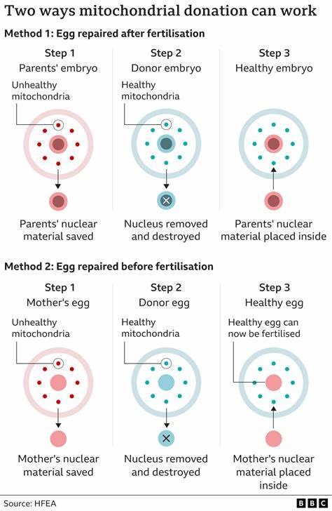 Healthy babies born after scientists used DNA from three people