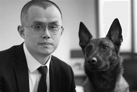 CZ's dog Broccoli sparks memecoin craze on Binance chain