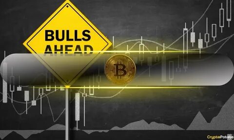 3 Bullish Signs for Bitcoin Following Recent Crash - CryptoPotato