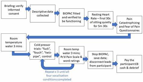 Swearing as a Response to Pain: Assessing Effects of Novel Swear Words