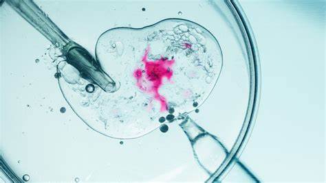 World’s ‘oldest baby’ born from embryo frozen in 1994