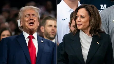 Harris vs. Trump on the issues: Whose policies do voters prefer? - YouGov Today