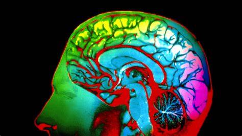 Do We See the Same Colors as Others? Brains Respond to Same Hues in Similar Ways