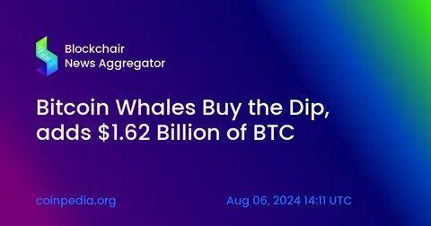 Supply Shrinks as Bitcoin Whales Accumulate: Should You Buy the Dip Now? - Coinpedia Fintech News