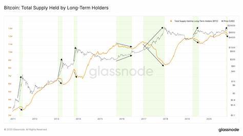 Bitcoin holder supply reaches $10B for the first time: Effects on BTC? - AMBCrypto News