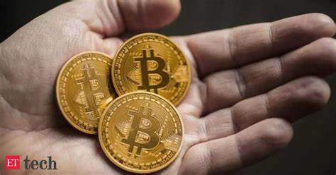 ED seizes Rs 1,144 crore crime proceeds, arrests 20 persons in crypto fraud cases - The Economic Times