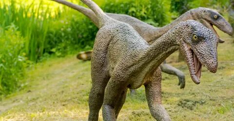 The first dinosaurs might have been bigger than expected