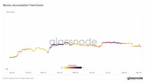 Bitcoin Whales Accelerate Accumulation Rate since April 2023 - Crypto Times