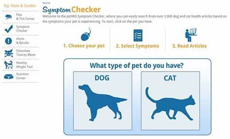 Show HN: Pet Check AI (iOS) because pets don't come with symptom checkers