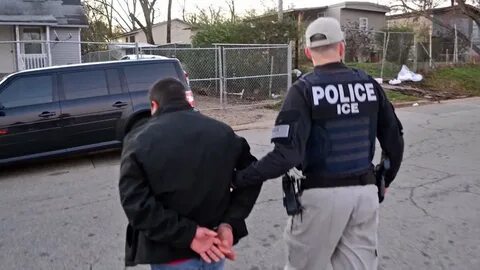 ICE arrests 543 undocumented criminals, 7 gang members in Houston-area operation - Yahoo