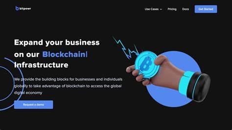Nigerian startup BitPowr launches to provide blockchain, crypto infrastructure for businesses - disruptafrica.com