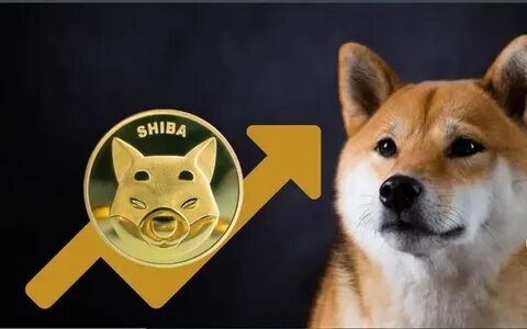 Here’s When $1,000 Worth of Shiba Inu Can Become $1M - The Crypto Basic