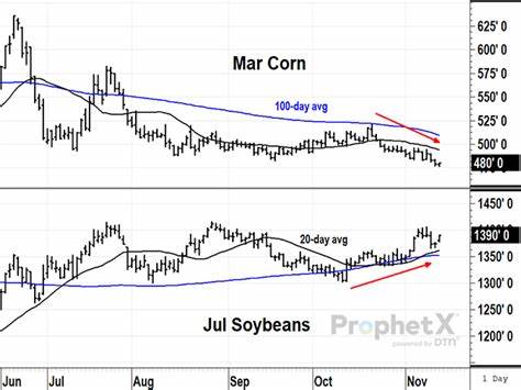 Corn Extending to New Lows Despite Drop in Condition Ratings