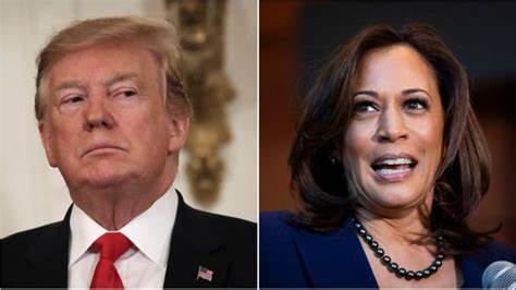 Kamala or Trump: Which candidate is better for the cryptocurrency industry? - Voz Media